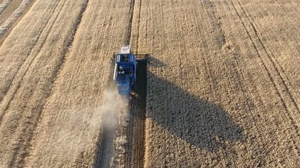 Aerial Shot of a Modern Combine Harvesting Crops in Wheat Farmland at Sunset   