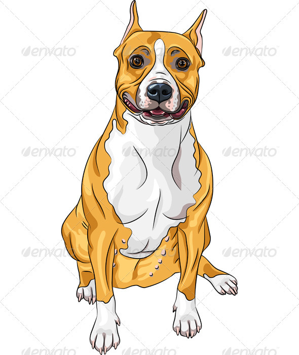 Smiling Dog American Staffordshire Terrier Breed - Animals Characters