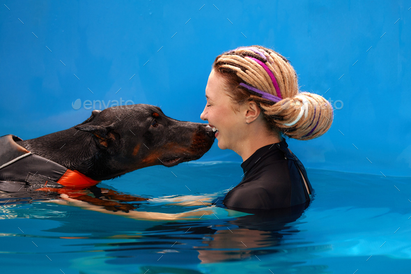 Dog trainer at the swimming pool, teaching the dog to swim.