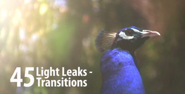 Light Leaks-Transitions (45 Pack)