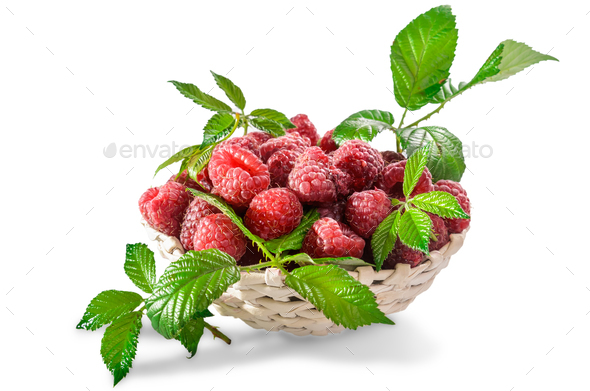 ripe raspberries with leaves - Stock Photo - Images