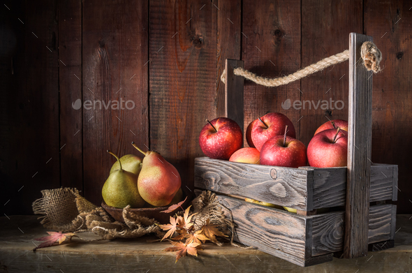 ripe apples and pears - Stock Photo - Images
