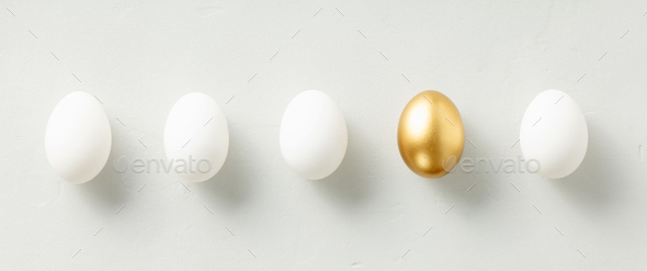 White chicken eggs with one golden egg flat lay top view banner - Stock Photo - Images