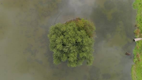 Aerial of a spit of land in a pond alt