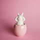 Pink bunny - PhotoDune Item for Sale