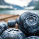 Blueberry antioxidants on a wooden table on a background of Norwegian nature. - PhotoDune Item for Sale