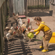 Playful girl with pigtails pours water to domestic birds in backyard of the farm - PhotoDune Item for Sale