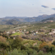 Olive trees plantation in Cazorla mountain range, Spain - PhotoDune Item for Sale
