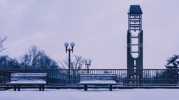Shot of University of Illinois at Urbana-Champaign, South Quad McFarland Memorial Bell Tower