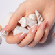 Hands with long nails with french manicure holding seashells - PhotoDune Item for Sale