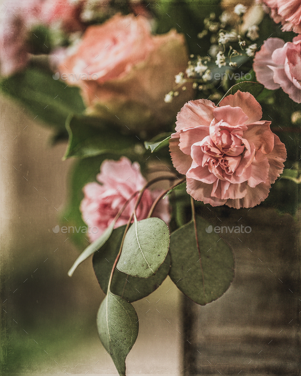 Fine Art Still Life Image of a beautiful Bouquet of pink carnations and roses. - Stock Photo - Images