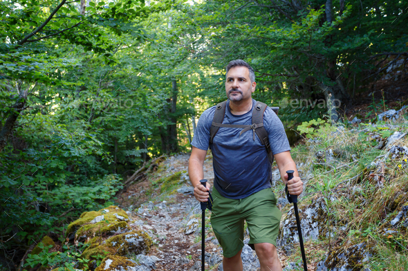 Hiker among the mountain woods. - Stock Photo - Images