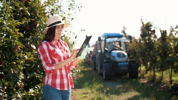Apple Harvesting alt