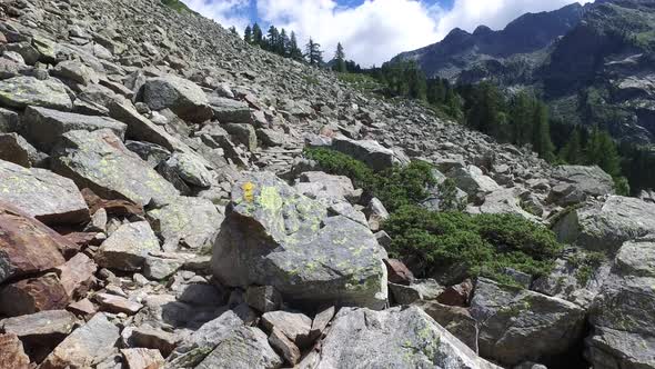 Hiking Walking Trekking Outdoors on Mountain alt