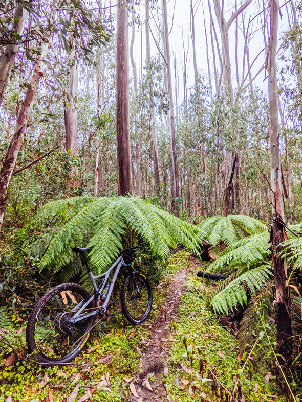 Lake Mountain Bike Park in Australia - Stock Photo - Images