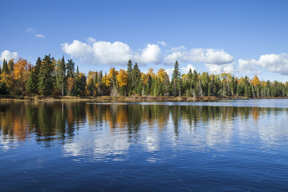Blue trout lake with trees in autumn color in northern Minnesota on a sunny day - Stock Photo - Images
