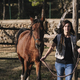 Brunette girl preparing the horse for riding. - PhotoDune Item for Sale