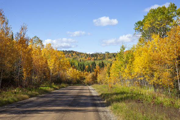 Dirt road below hills and trees in autumn color in northern Minnesota on a sunny afternoon - Stock Photo - Images