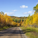 Dirt road below hills and trees in autumn color in northern Minnesota on a sunny afternoon - PhotoDune Item for Sale