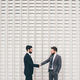 Young bearded professional businessman shaking hand with partner - PhotoDune Item for Sale