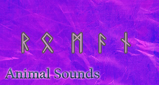 Animal Sounds