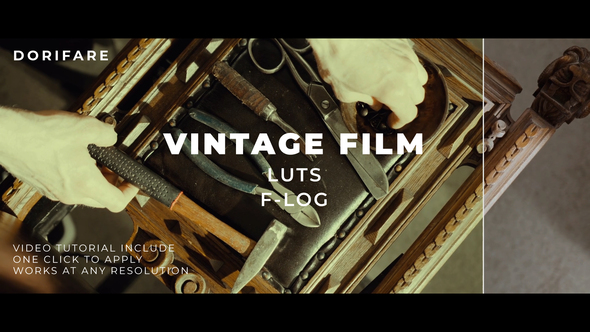 Luts Vintage Film F-Log