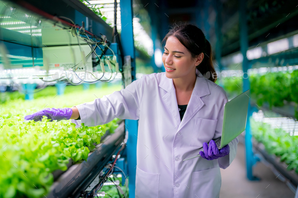 Inside of Greenhouse Hydroponic Vertical Farm Eco system. Stock Photo ...