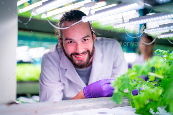 Inside of Greenhouse Hydroponic Vertical Farm Eco system. Stock Photo ...