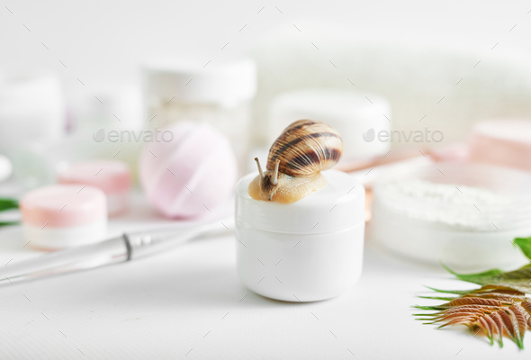 SPA treatments. Snail cream cosmetic tube. Skin care. Wellness. Healing mucus. Beauty saloon
