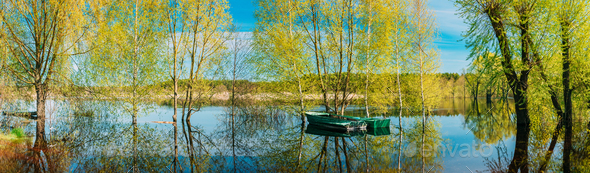 Panorama old Boats moored near Trees that Standing In Water During Spring Flood floodwaters - Stock Photo - Images