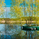 Panorama old Boats moored near Trees that Standing In Water During Spring Flood floodwaters - PhotoDune Item for Sale