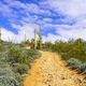 View looking up a steep hiking trail in the desert - PhotoDune Item for Sale