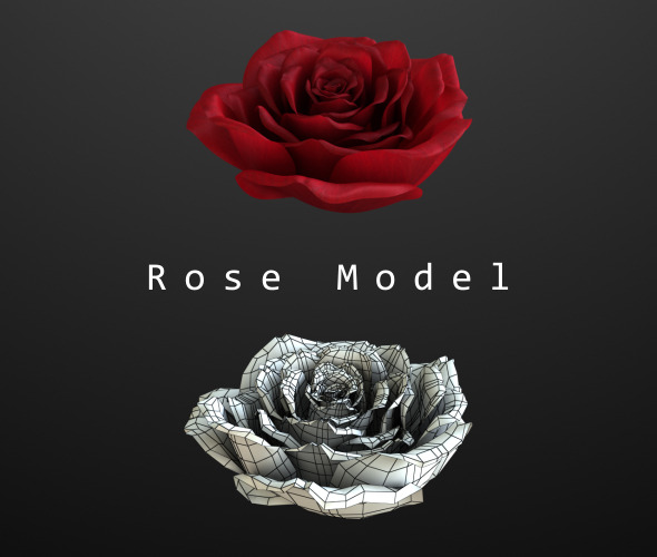Rose Model - 3Docean 3657174