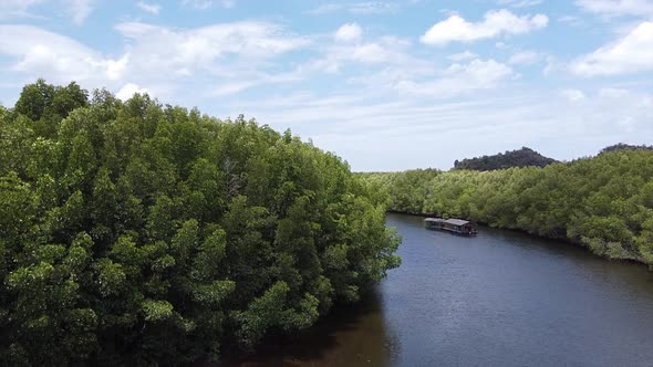 Aerial view of mangrove forest and the sea by drone