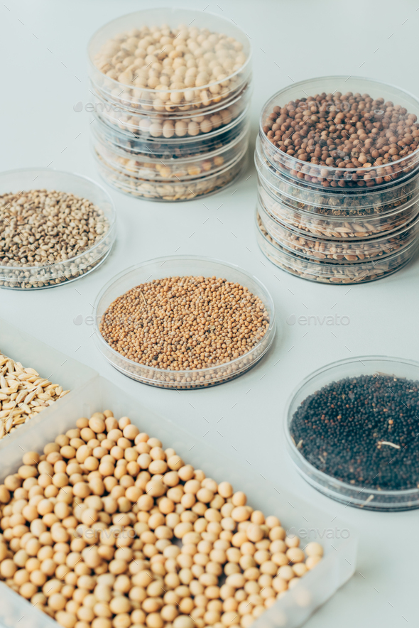 selective focus of various grains in plastic containers in modern agro