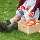 partial view of girl putting apples from apron into wooden box and sitting on grass - PhotoDune Item for Sale