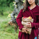 cropped view of girl holding paper bag with apples in garden - PhotoDune Item for Sale