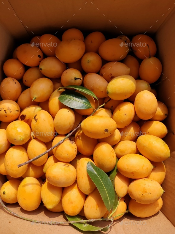 Thai fruit - Stock Photo - Images