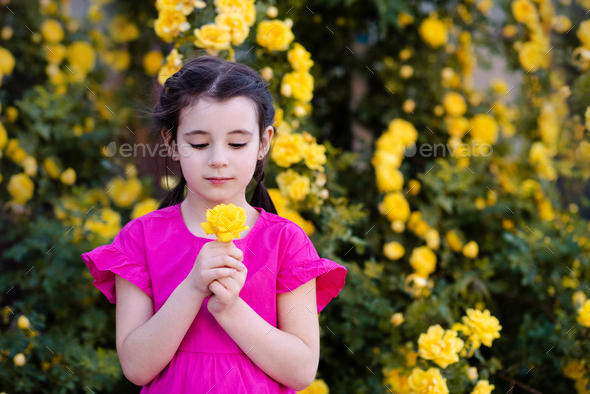 Cute little kid girl holding yellow rose flower in garden outdoor  - Stock Photo - Images