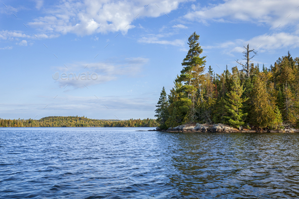 Beautiful blue lake and shore with pines in the Boundary Waters of Minnesota on a fall morning - Stock Photo - Images