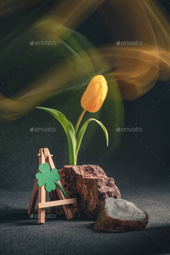 concept spring. freakebana. yellow tulip and Four-leaf clover. the concept of St. Patrick's Day - Stock Photo - Images