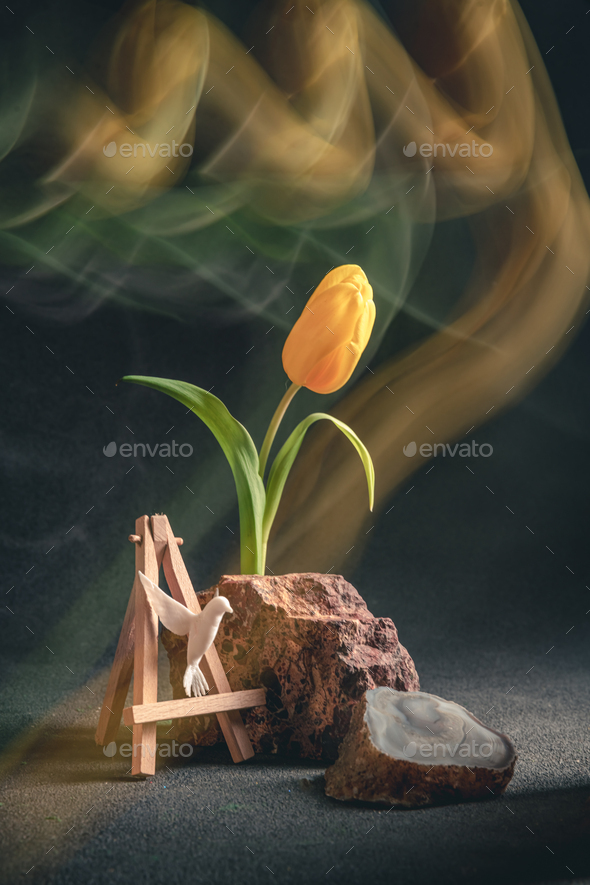concept spring. freakebana. yellow tulip and hummingbird. motion blur - Stock Photo - Images