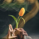 concept spring. freakebana. yellow tulip and hummingbird. motion blur - PhotoDune Item for Sale