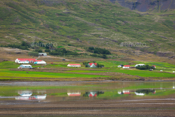 Typical Farm Houses at Icelandic Fjord Coast - Stock Photo - Images