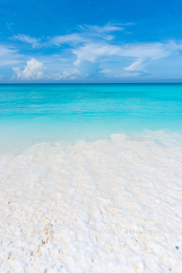 Tropical White Sand Beach by Apomares