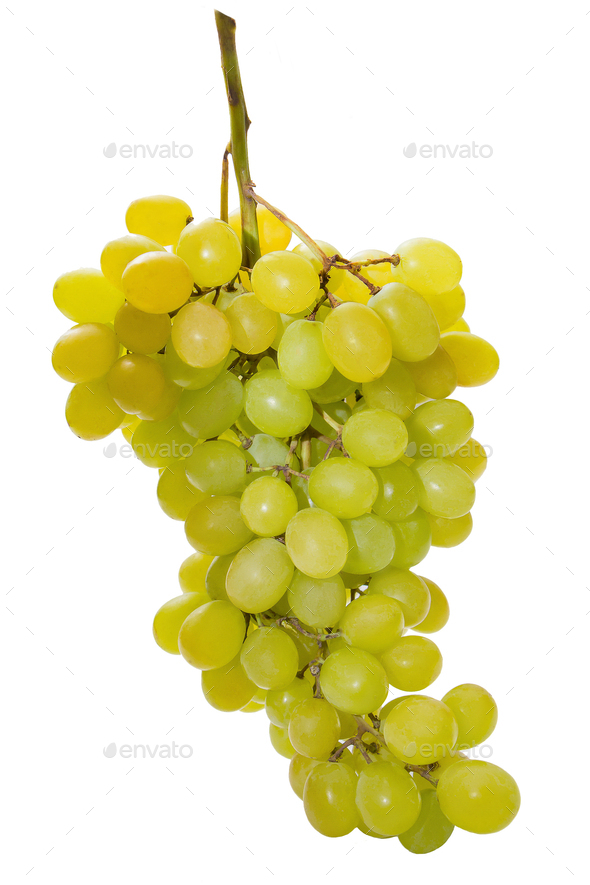 Bunch of ripe green grapes isolated on white background - Stock Photo - Images