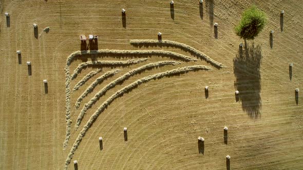 Abstract aerial view of tractor harvesting straw bales in field, France alt
