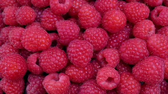 Fresh Raspberries Summer Fruits