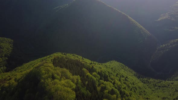 Aerial Film View From the Top of the Spring Forest to the Valley with a Winding Road and a River