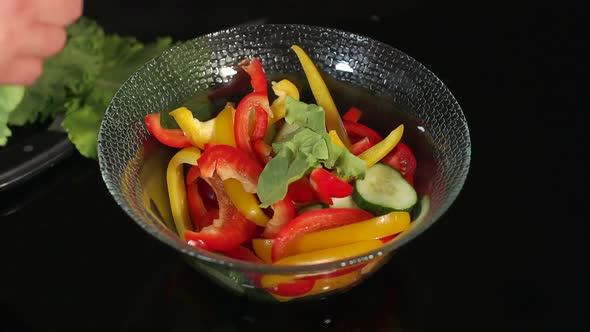 Girl Prepares a Salad of Vegetables and Lettuce Closeup on a Black Background alt